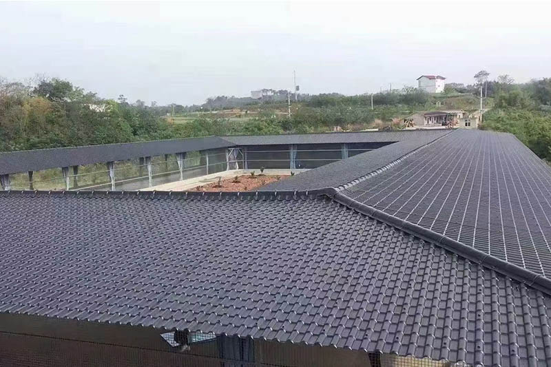 প্রকল্প মামলা